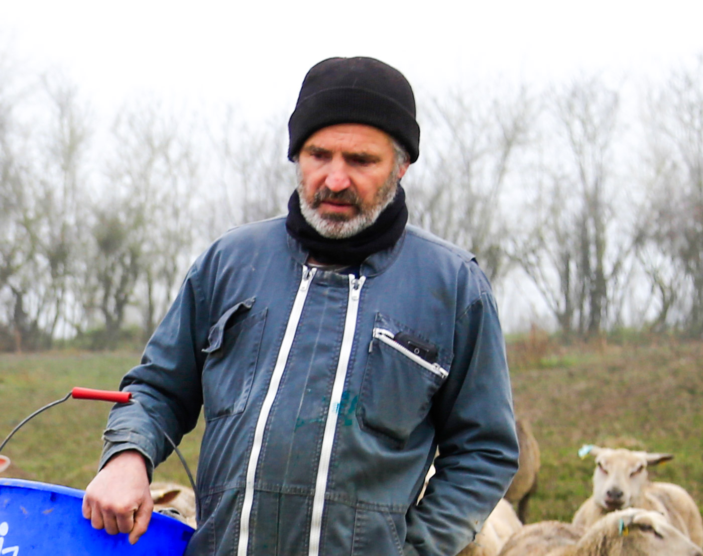 Dominique Roux Nos éleveurs Grutto